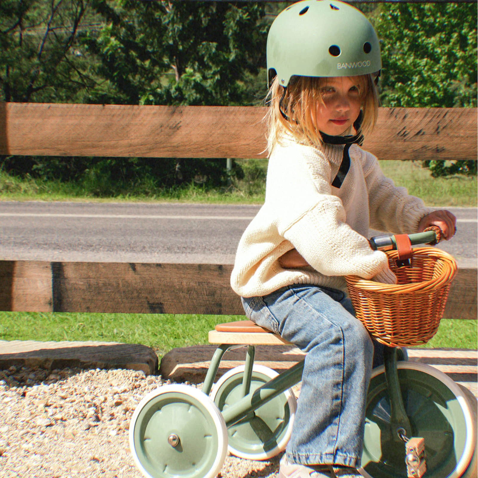 Banwood Trike - Image 4