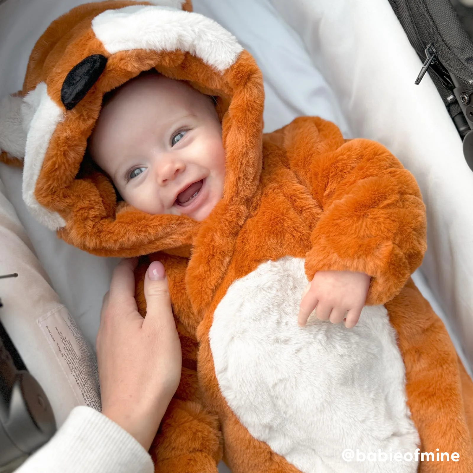 Fox Faux Fur Pramsuit - Image 5