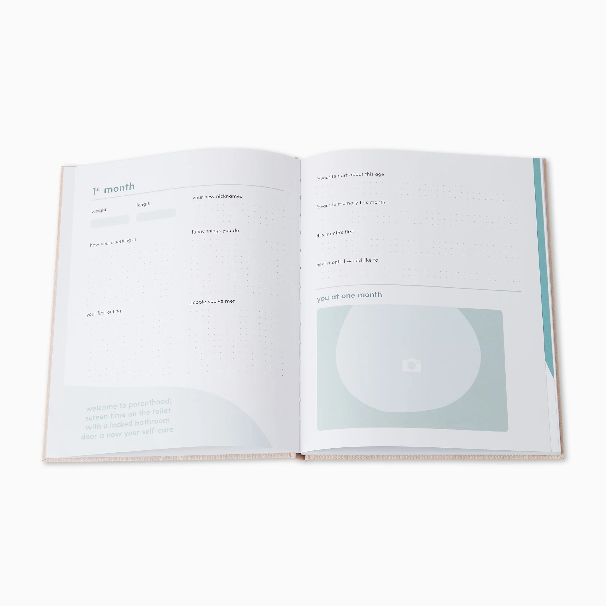 Hello Baby Book - Blush - Image 6