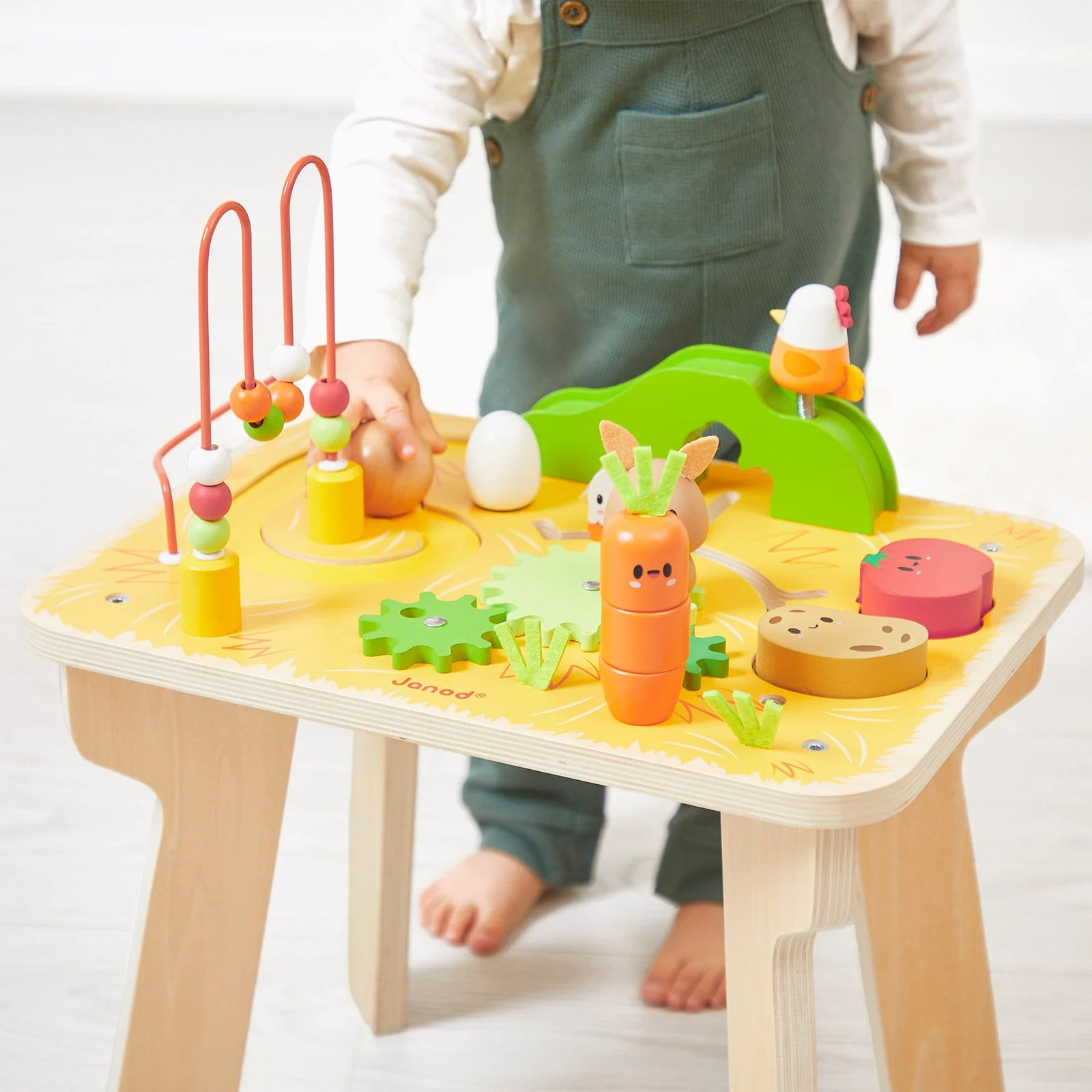 Janod Farm Activity Table