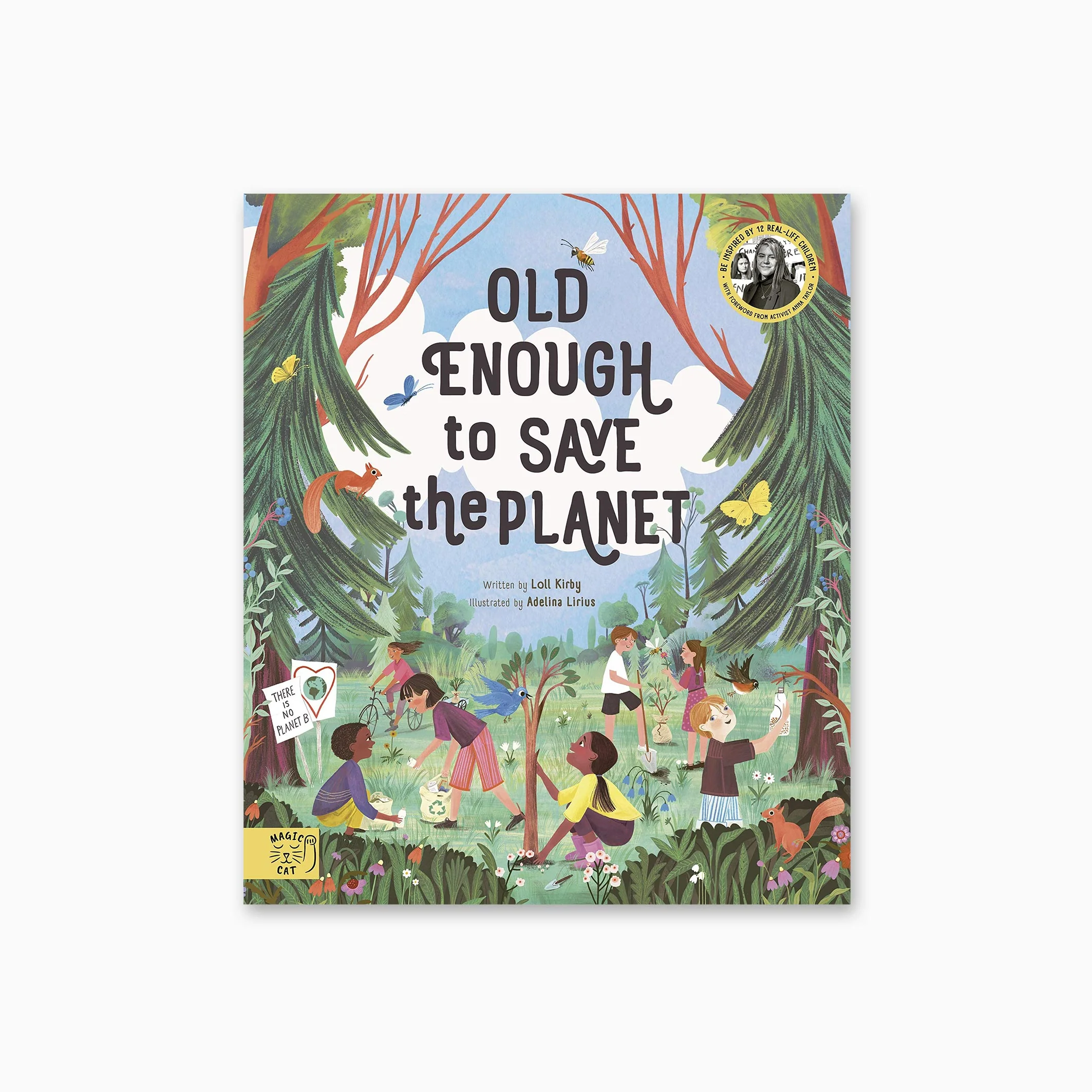 Old Enough to Save the Planet Book