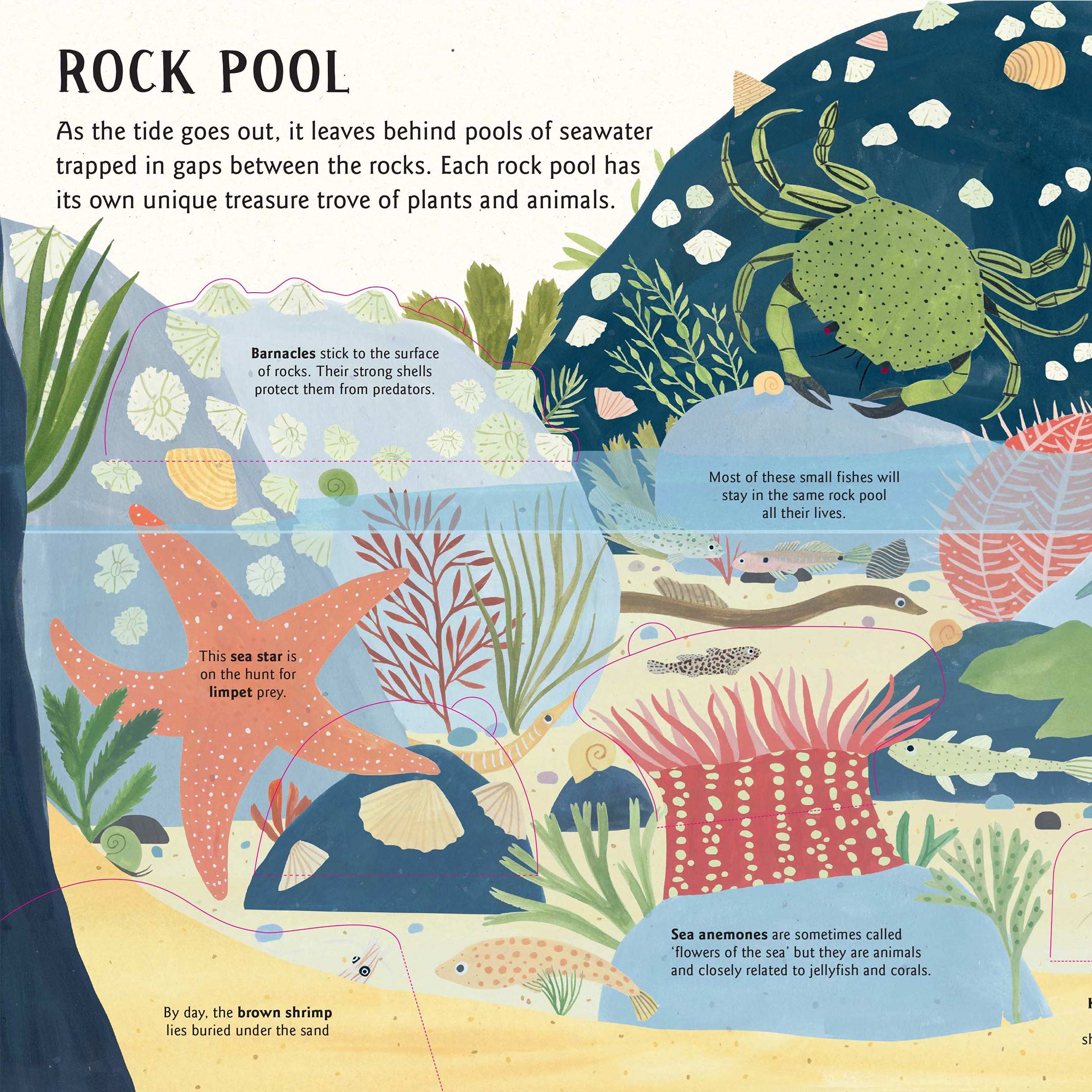 Small Worlds: Water Book - Image 2