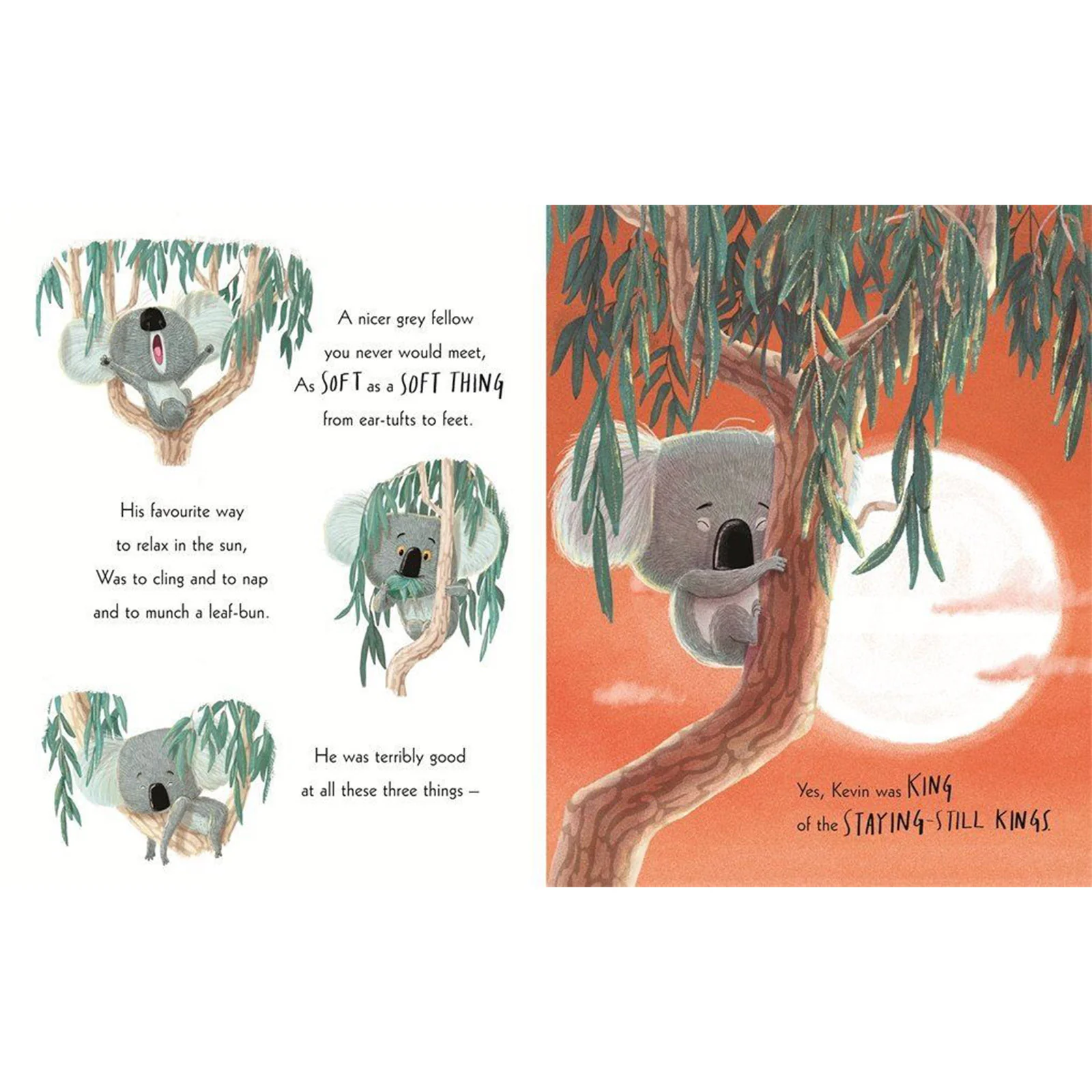 The Koala Who Could Board Book - Image 4