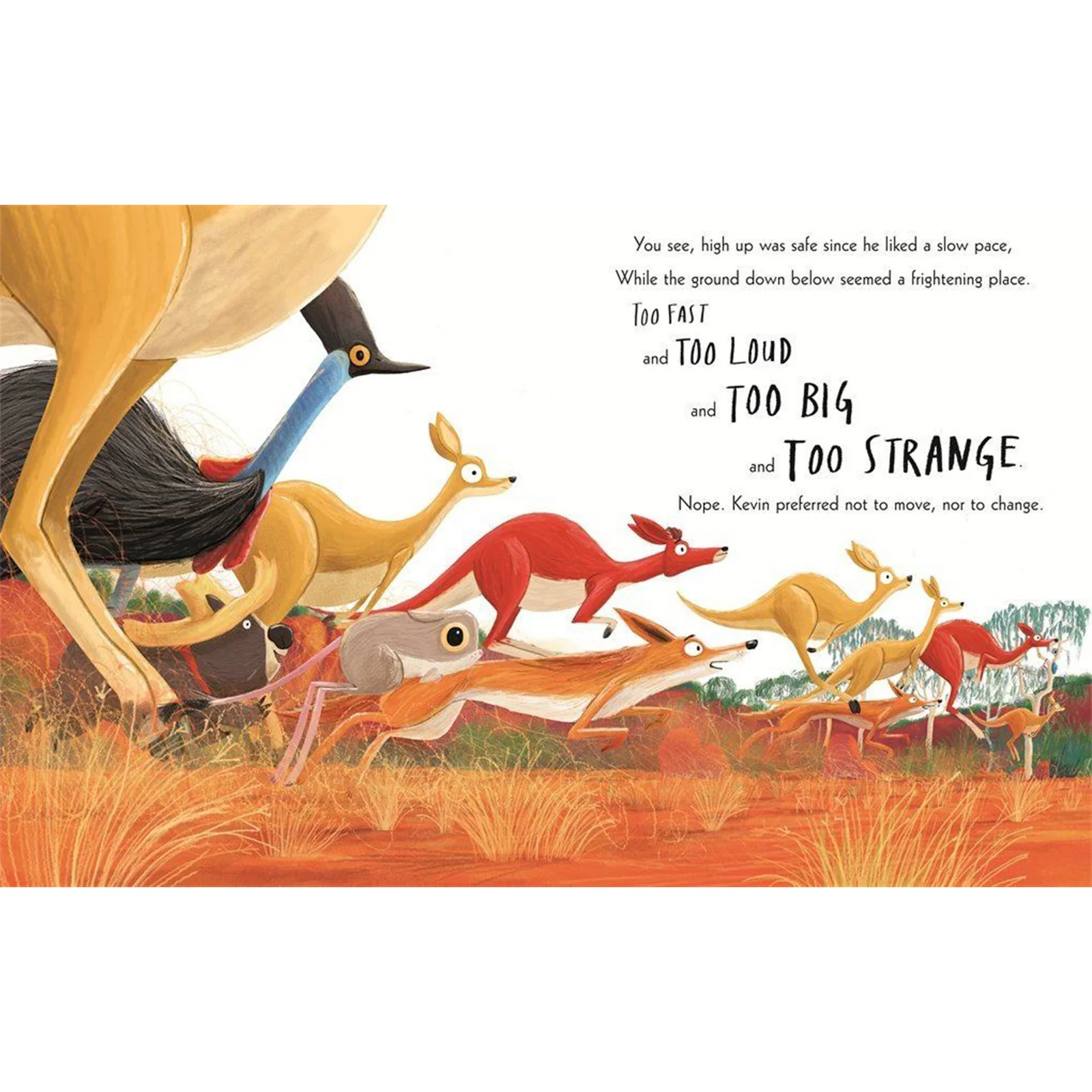 The Koala Who Could Board Book - Image 5